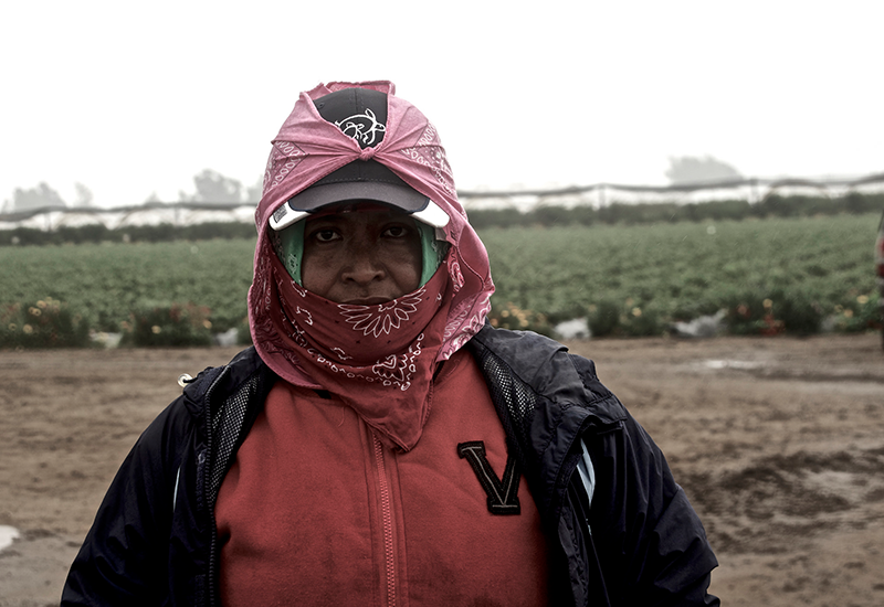 A Hispanic farmworker, protecting her skin with long sleeves, a cap and scarves, stands in front of a field.