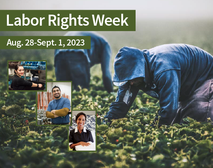 Workers picking berries in a field, washing dishes in a restaurant, folding towels in a hotel and posing in a manufacturing environment.
